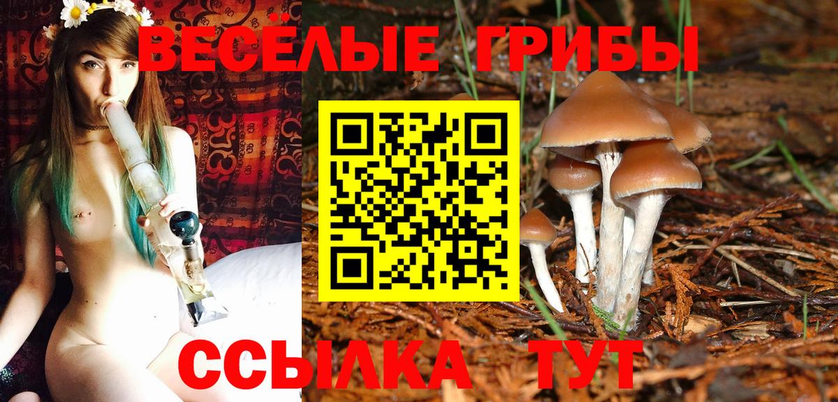 Псилоцибиновые грибы Psilocybe  Псилоцибиновые грибы мухоморы  Кохма  Вход с VPN 